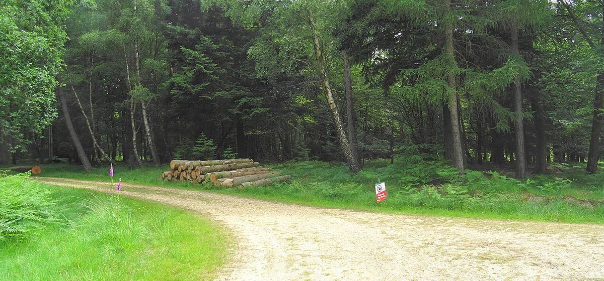 Šumarske i poljoprivredne usluge